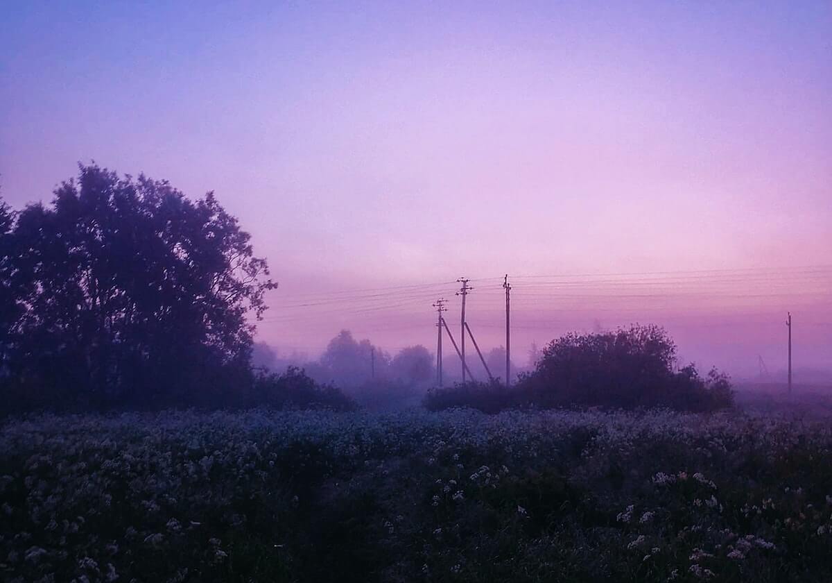 史上最全的冈本视频十件事 · 排行669