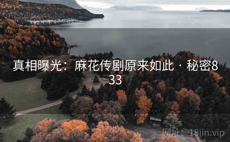 真相曝光：麻花传剧原来如此 · 秘密833