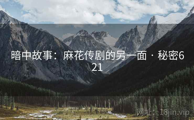 暗中故事：麻花传剧的另一面 · 秘密621