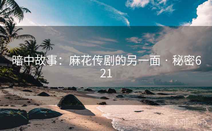 暗中故事：麻花传剧的另一面 · 秘密621