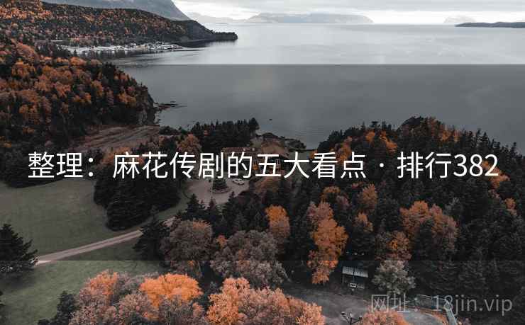 整理：麻花传剧的五大看点 · 排行382